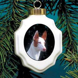 Ibizan Hound Christmas Ornament Porcelain