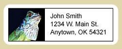 Iguana Address Labels