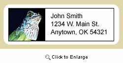 Iguana Address Labels