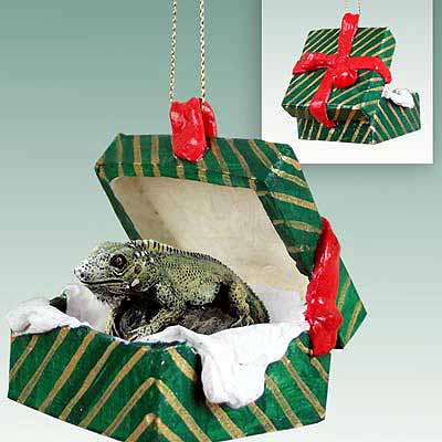 Iguana Gift Box Christmas Ornament