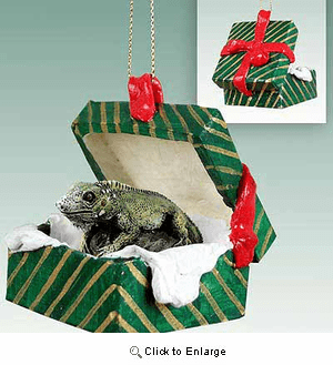 Iguana Gift Box Christmas Ornament