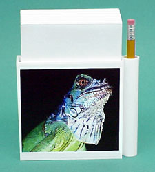 Iguana Hold-a-Note