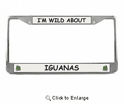Iguana License Plate Frame