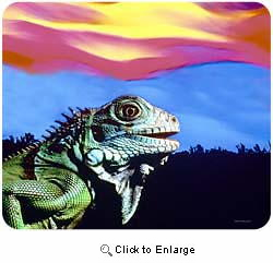 Iguana Mousepad