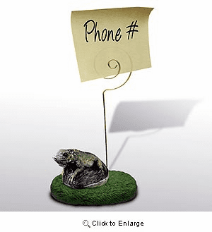 Iguana Note Holder