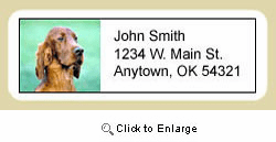 Irish Setter Address Labels