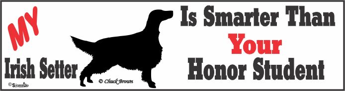 Irish Setter Bumper Sticker Honor Student