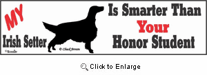 Irish Setter Bumper Sticker Honor Student