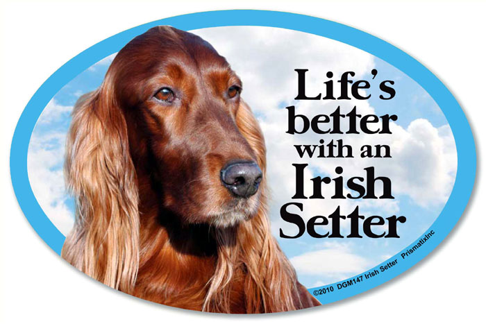 Irish Setter Car Magnet - Life's Better
