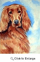 Irish Setter Garden Flag