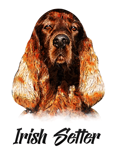 Irish Setter T-Shirt - Vivid Colors