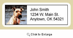 Irish Terrier Address Labels