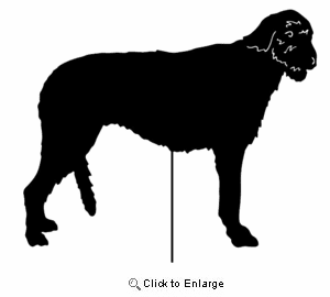 Irish Wolfhound Garden Stake