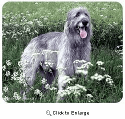 Irish Wolfhound Mousepad