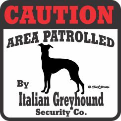 Italian Greyhound Bumper Sticker Caution