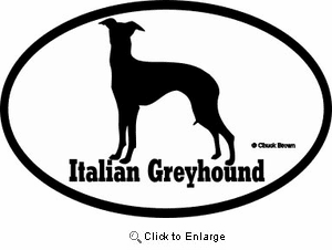Italian Greyhound Bumper Sticker Euro