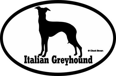 Italian Greyhound Bumper Sticker Euro