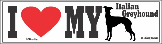 Italian Greyhound Bumper Sticker I Love My