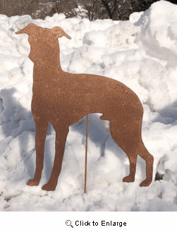 Italian Greyhound Garden Stake