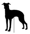 Italian Greyhound Garden Stake