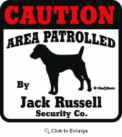 Jack Russell Bumper Sticker Caution