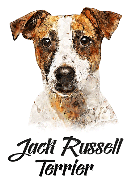 T-Shirt Donna Jack Russell – Fellow Friends, Cotone Morbido, Stampa Di Qualità, Idea Regalo