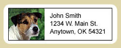 Jack Russell Terrier Address Labels