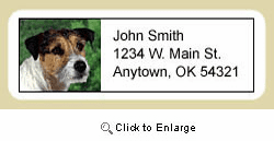 Jack Russell Terrier Address Labels
