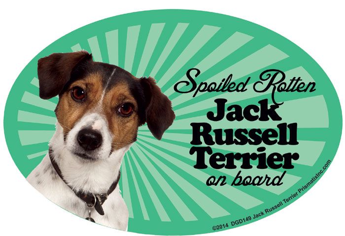 Jack Russell Terrier Car Magnet - Spoiled Rotten