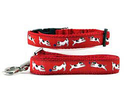 Jack Russell Terrier Collar & Leash, Collar, Jack Russell Terrier Gifts