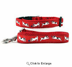 Jack Russell Terrier Collar & Leash