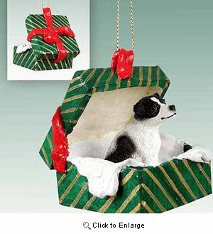 Jack Russell Terrier Gift Box Christmas Ornament Black-White Smooth Coat