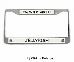 Jellyfish License Plate Frame
