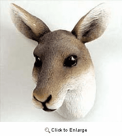 Kangaroo Magnet