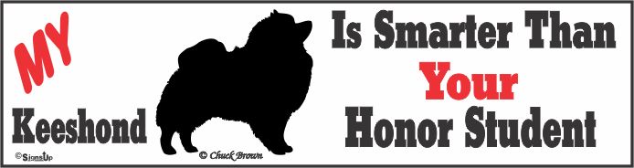 Keeshond Bumper Sticker Honor Student