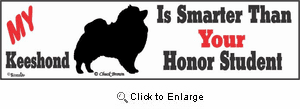 Keeshond Bumper Sticker Honor Student