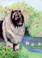 Keeshond Garden Flag