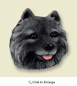 Keeshond Magnet