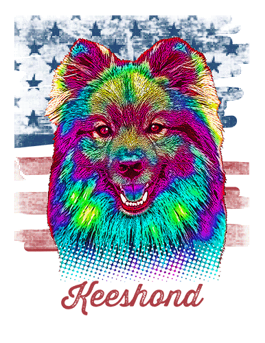 Keeshond T Shirt American Flag