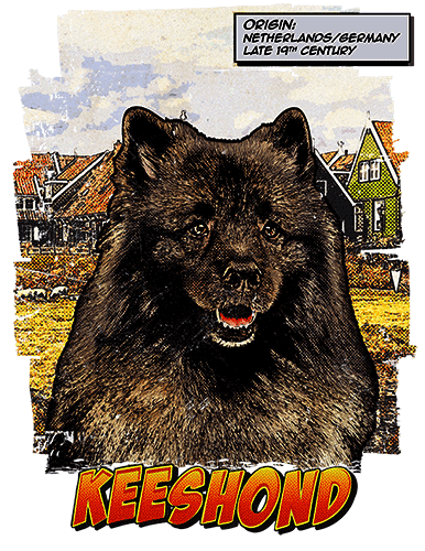 Keeshond T-Shirt Ancestry