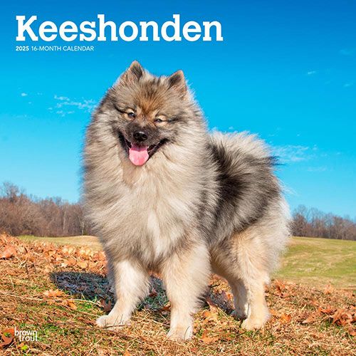 Keeshonden Calendar 2025|Animal Den