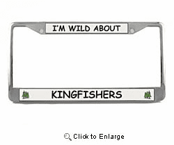 Kingfisher License Plate Frame