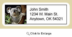 Koala Address Labels