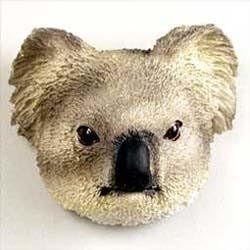 Koala Magnet By Conversation Concepts 2
