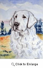 Kuvasz Garden Flag