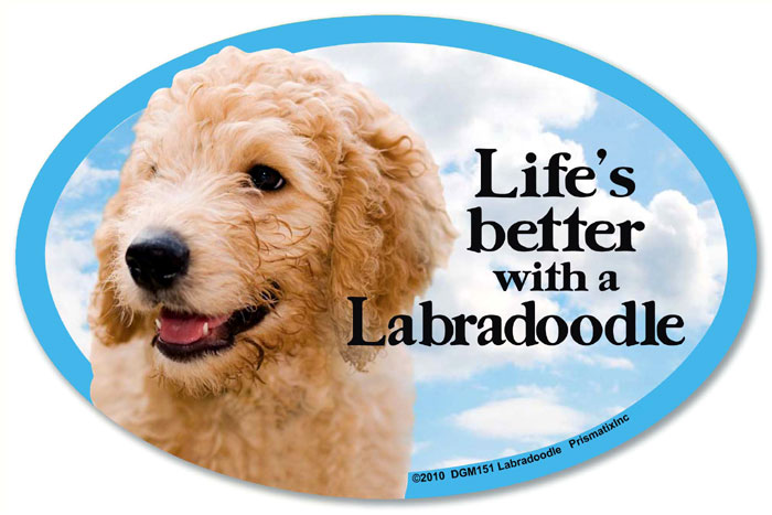 Labradoodle Car Magnet - Life's Better