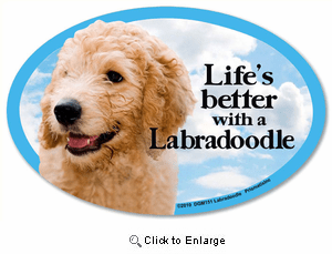 Labradoodle Car Magnet - Life's Better