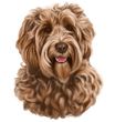 Labradoodle Decal Window Sticker