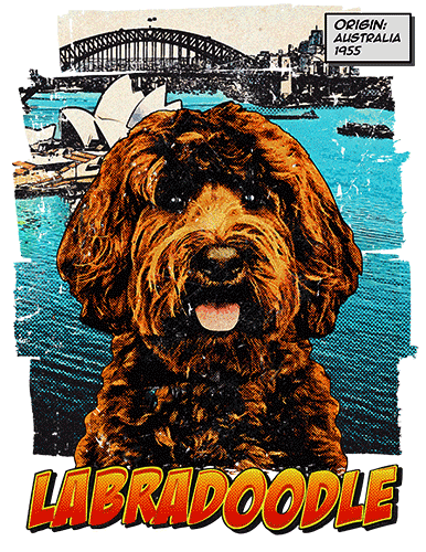 Labradoodle T-Shirt Ancestry Chocolate
