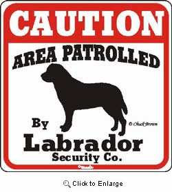 Labrador Caution Sign